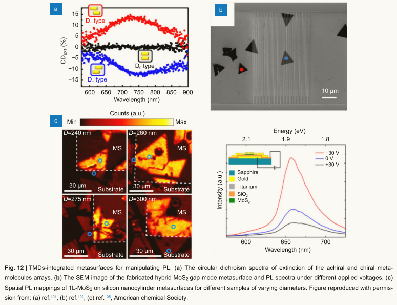 image-20251108011146259