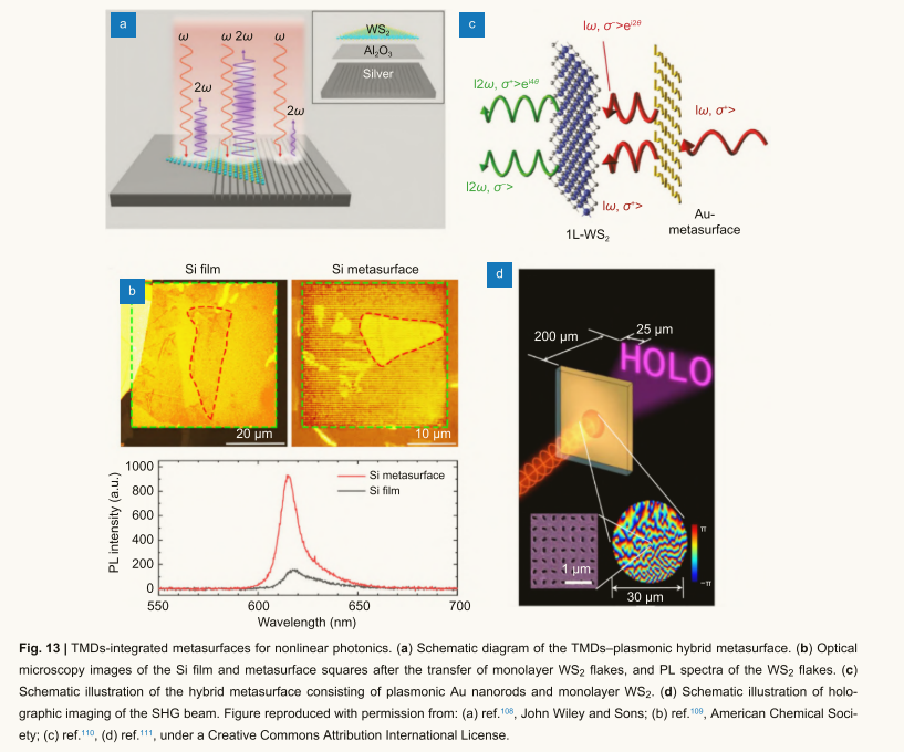image-20251108011207917