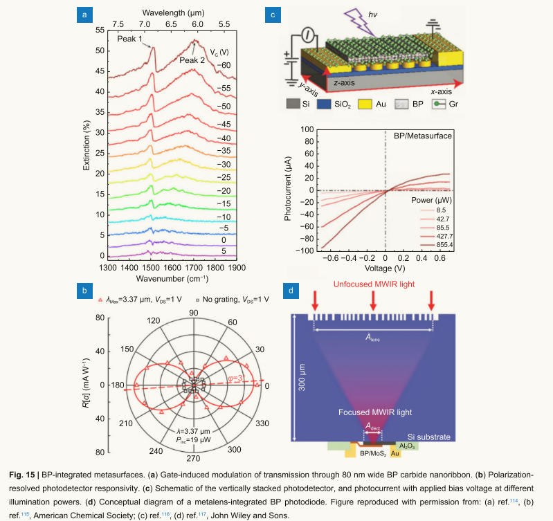 image-20251108011805815